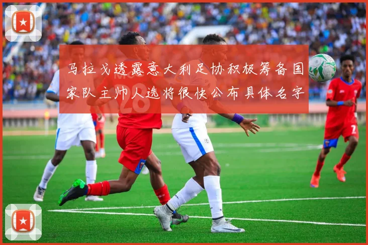 马拉戈透露意大利足协积极筹备国家队主帅人选将很快公布具体名字