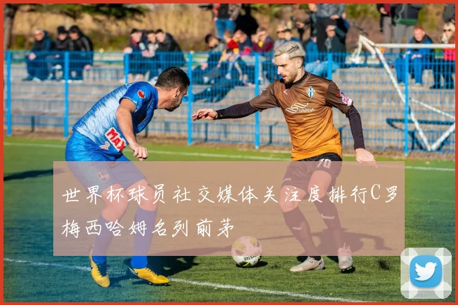 世界杯球员社交媒体关注度排行C罗梅西哈姆名列前茅