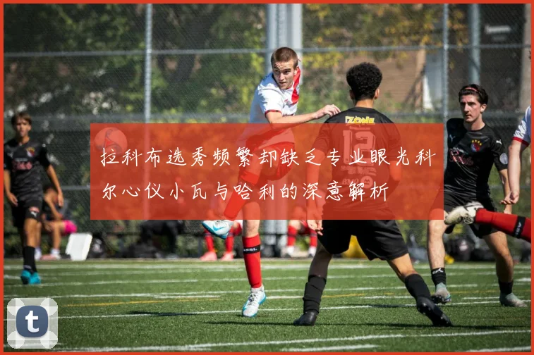 拉科布选秀频繁却缺乏专业眼光科尔心仪小瓦与哈利的深意解析